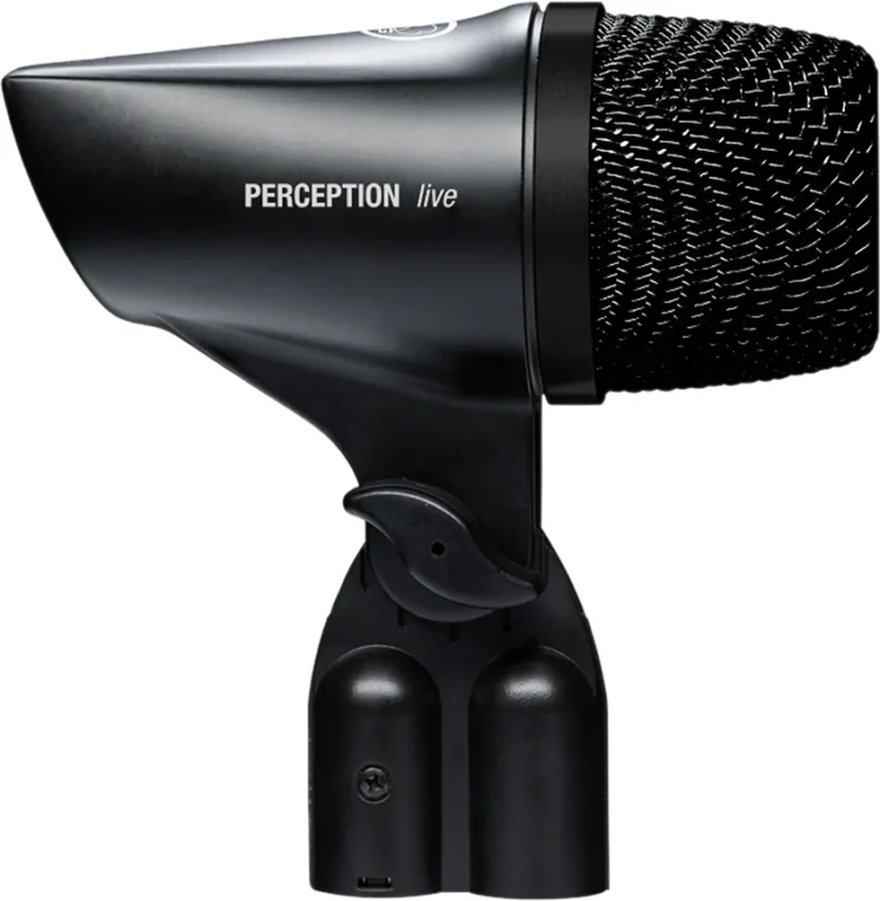 Micrófono Akg P2 Instrumentos bajos