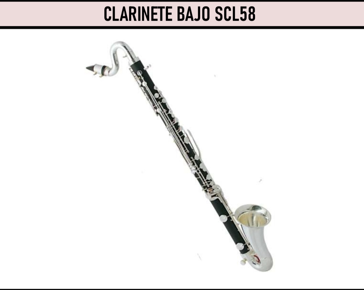 Clarinete Scala SCL58