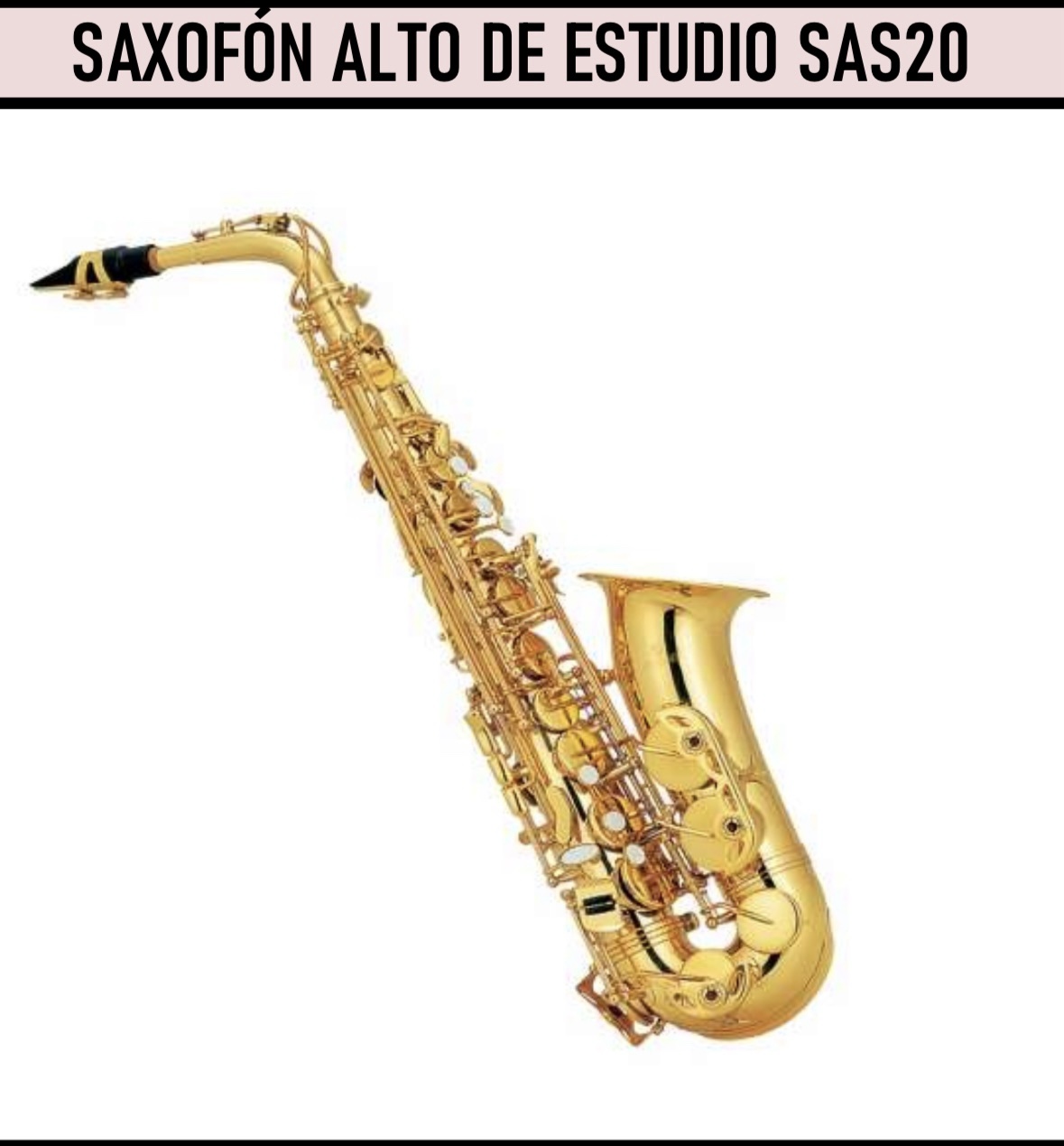 Saxofon Scala SAS20 Alto Estudio